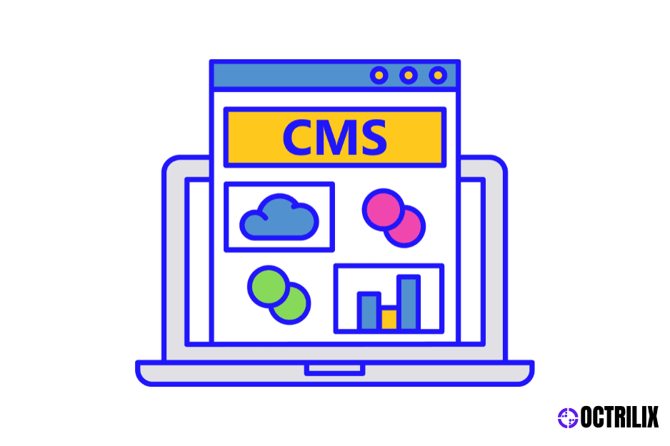 ERP and CMS Development